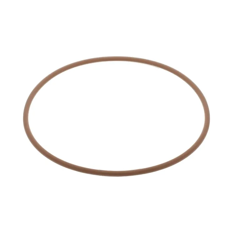 Water pump gasket 17291781 CNH 14466381