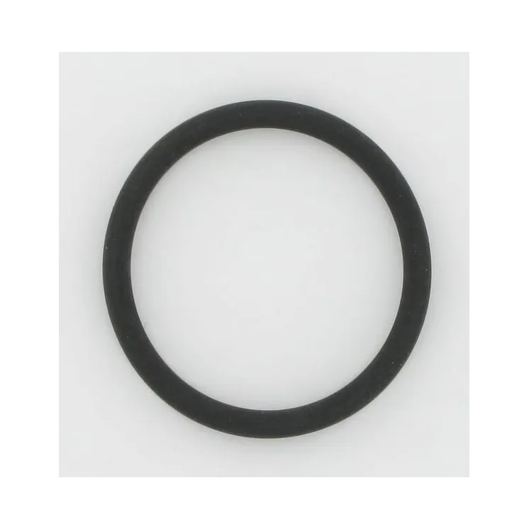 O-Ring 17288581 CNH