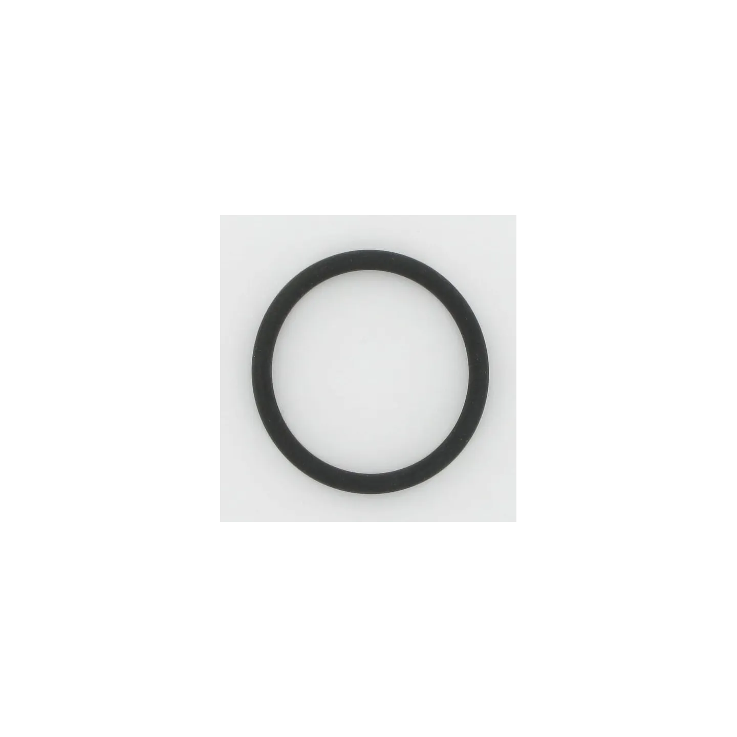 O-Ring 17288581 CNH