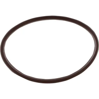 O-Ring 17284281 CNH 14459781