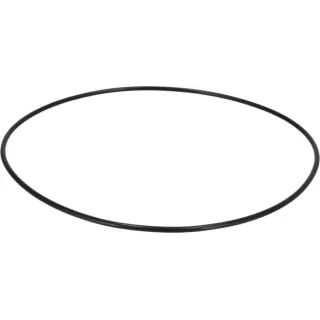 O-Ring 190003120686 CNH