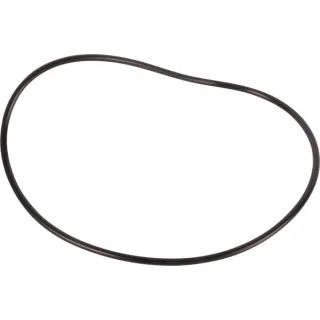 O-Ring 190003121062 CNH