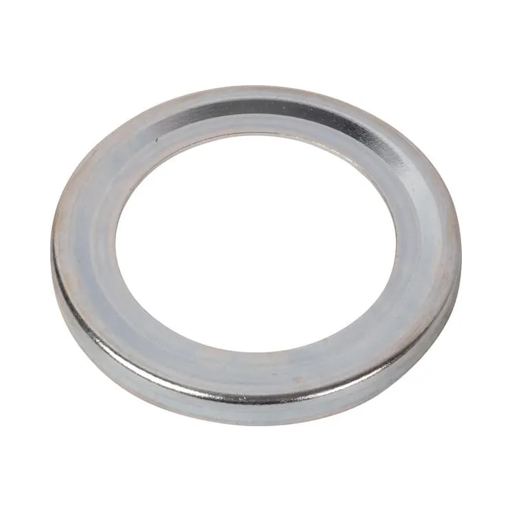 Oil seal 4996763 CNH 4996763N