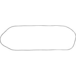 Seal 4841301 CNH 4841301N