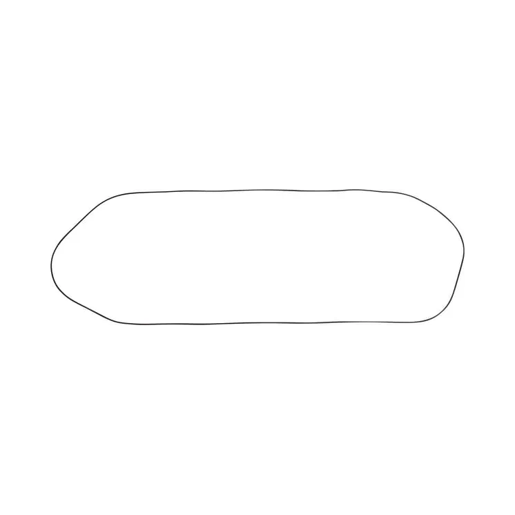Seal 4841301 CNH 4841301N