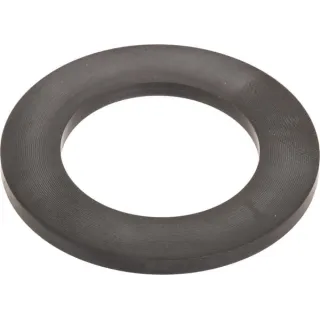 Seal, Ring 4895296 CNH