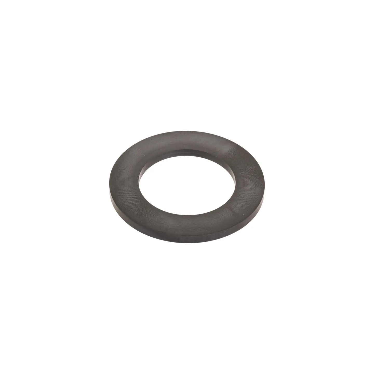 Seal, Ring 4895296 CNH