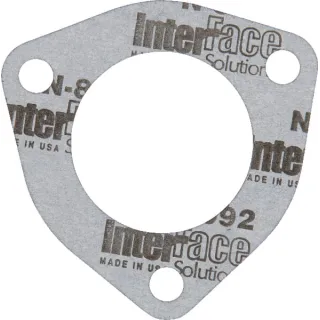 Gasket 4599809 CNH