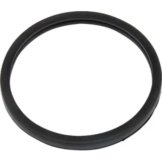 Thermostat gasket 504030960 CNH 2852473
