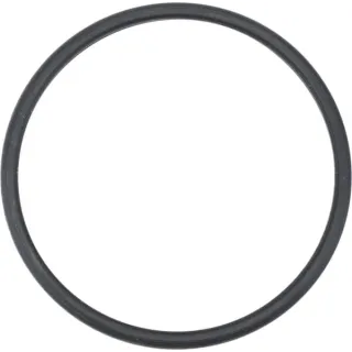 Thermostat gasket 504387771 CNH 84325989