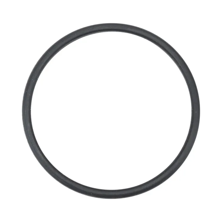 Termostata blīvgredzens 504387771 CNH 84325989