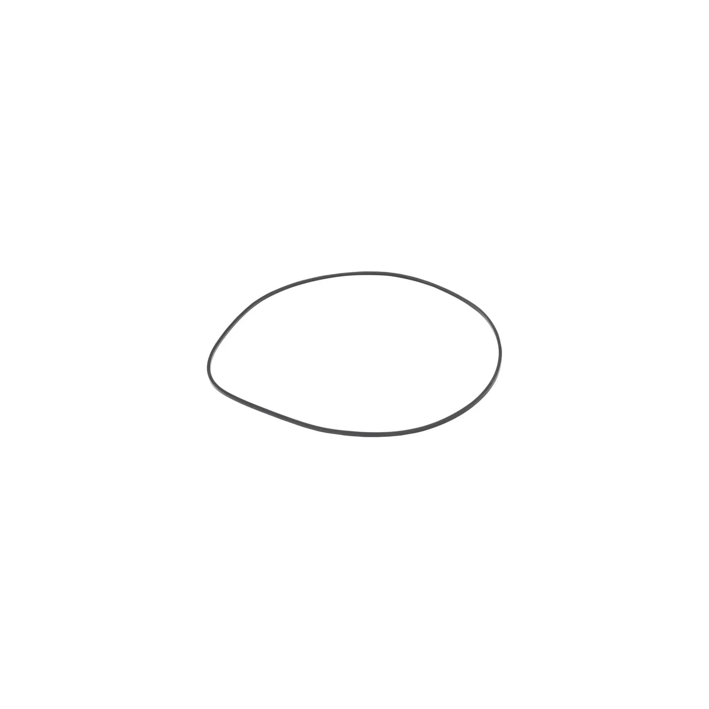Seal 5109408 CNH
