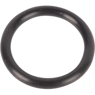 O-ring 511029 CNH