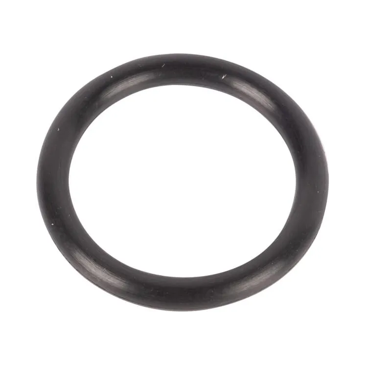 O-ring 511029 CNH