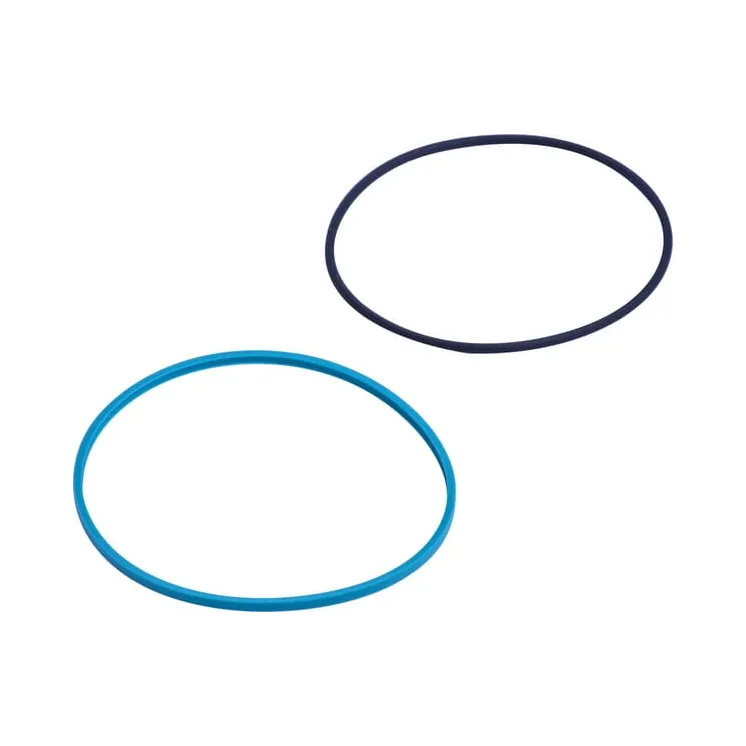 Seal, Ring 5162398 CNH