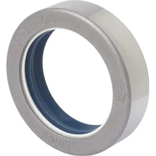 Seal 5184124 CNH