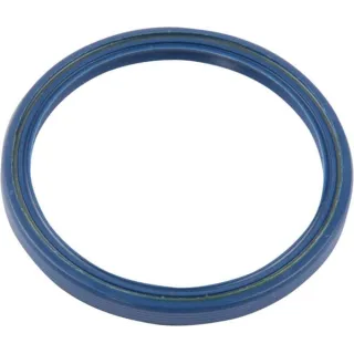 Seal 5168364 CNH