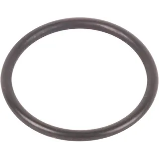 O-Ring 5185513 CNH