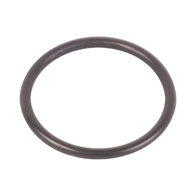 O-Ring 5185513 CNH