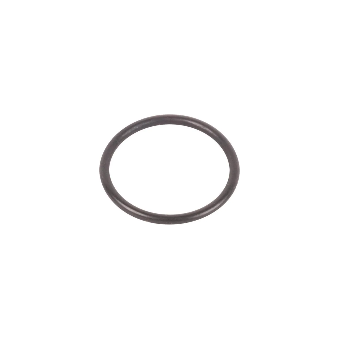 O-Ring 5185513 CNH