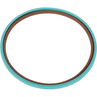 Seal 5168345 CNH