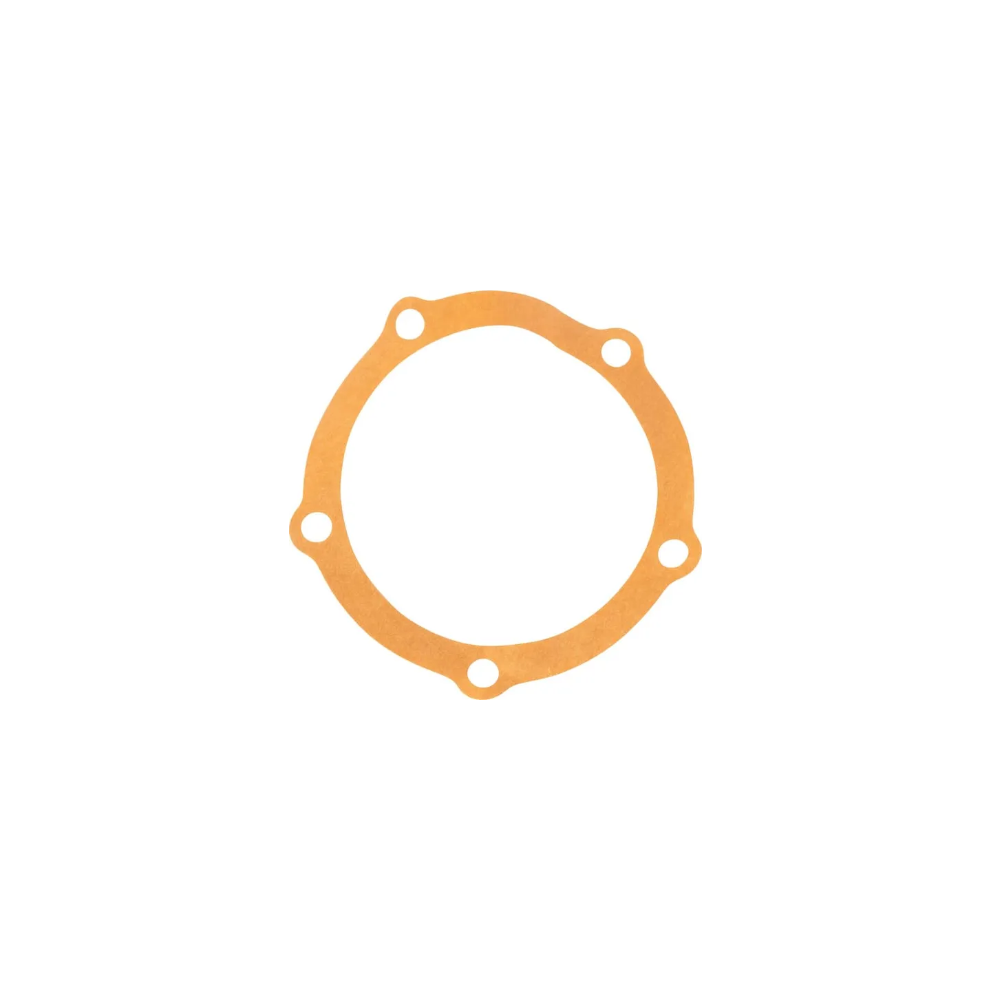 Gasket 81804648 CNH