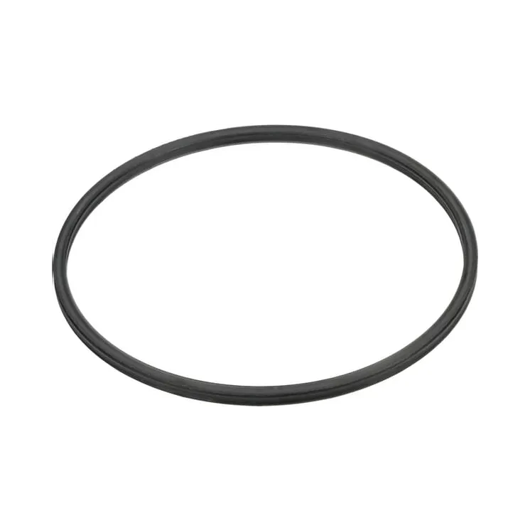 Seal 81869804 CNH