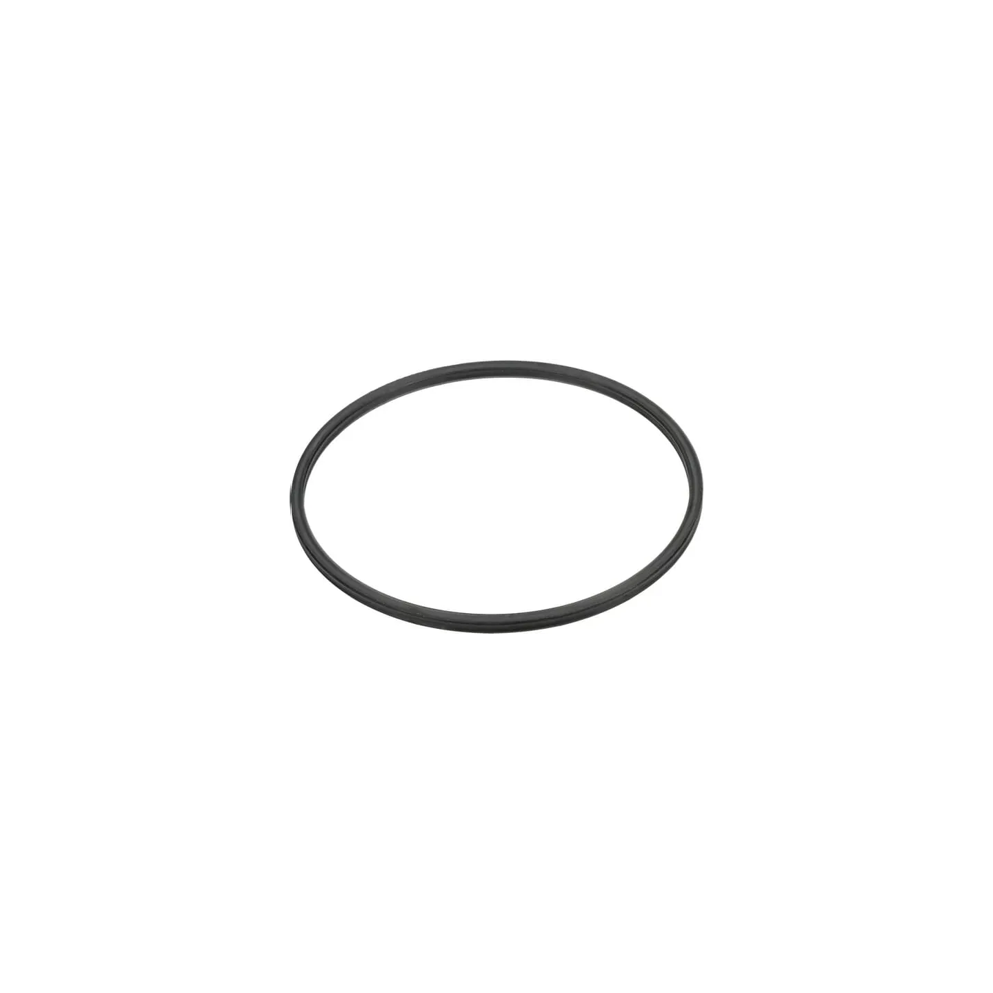 Seal 81869804 CNH