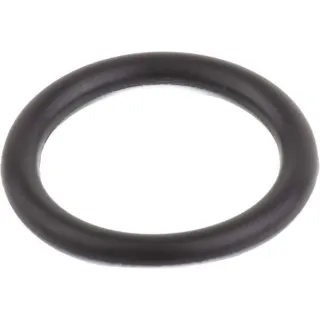 O-Ring 83928113 CNH