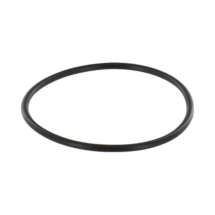 O-Ring 84417142 CNH