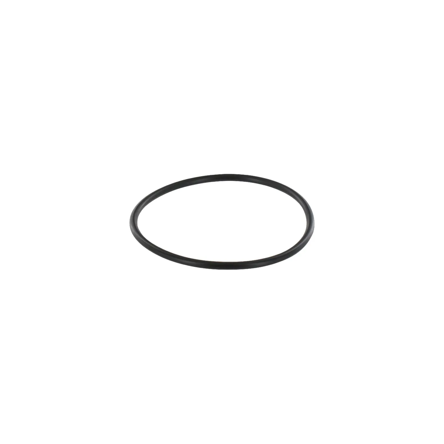 O-Ring 84417142 CNH