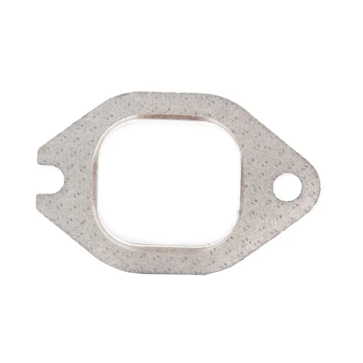 Gasket 98489690 CNH
