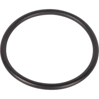 O-Ring 9800643 CNH