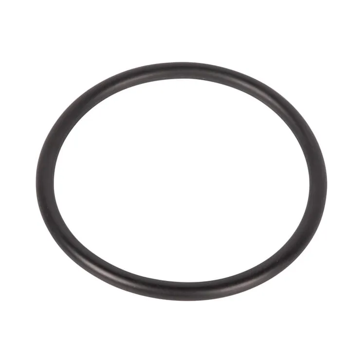 O-Ring 9800643 CNH