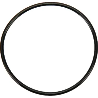 O-ring 86012299 CNH