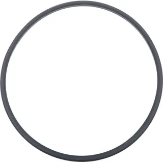 Seal 86018406 CNH