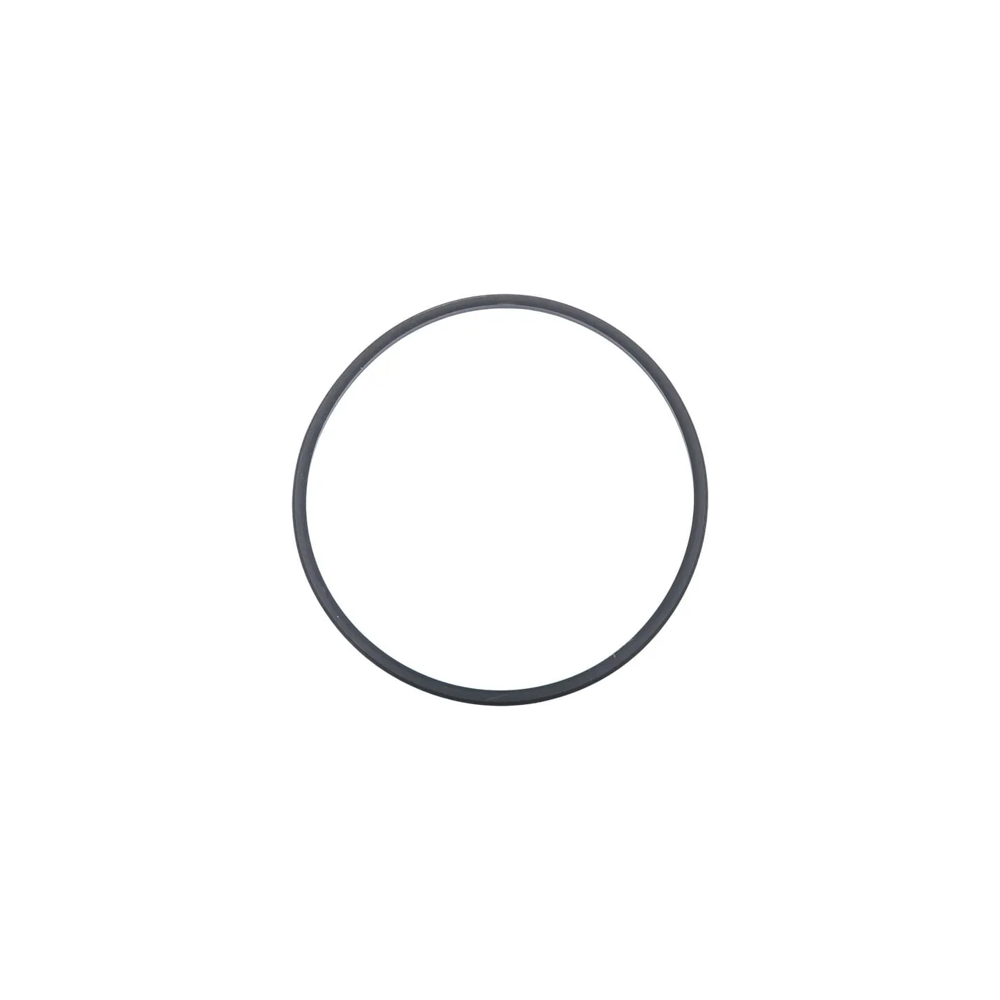 Seal 86018406 CNH