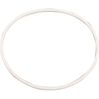 Seal A183534 CNH