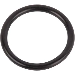 O-ring 167269 Case IH