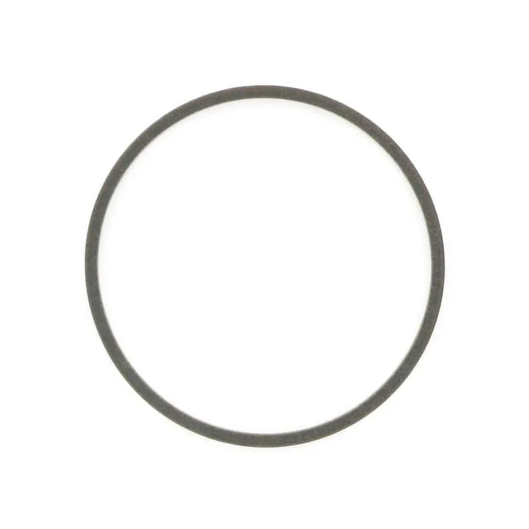 Oil seal Case - IH 1995100C1 Case IH