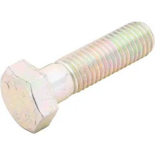 Bolt 280264 Case IH 300304069