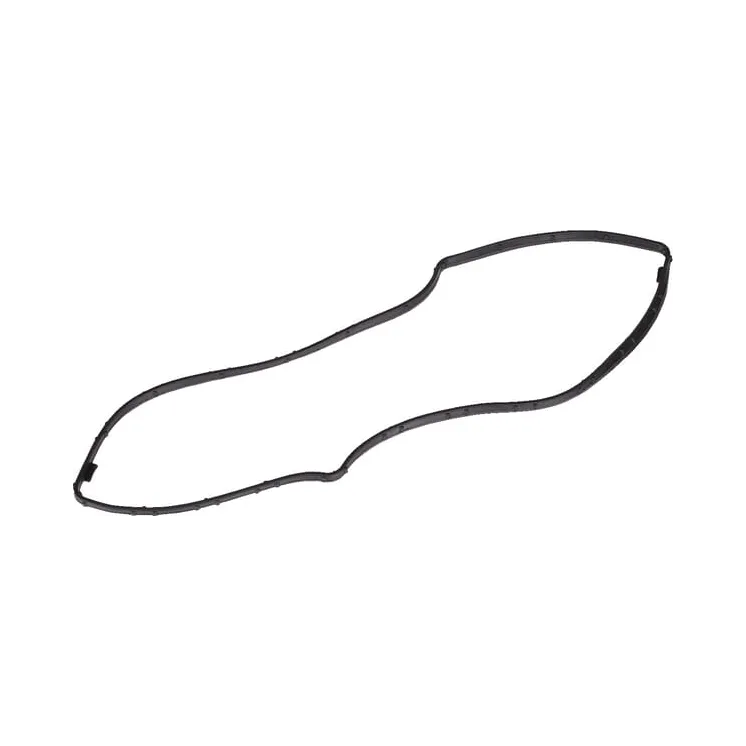 Gasket 2996234 Case IH 500383043