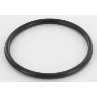 O-ring fuel level indicator 3229809R1 Case IH