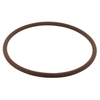 O-ring rear axle brake 3230854R1 Case IH