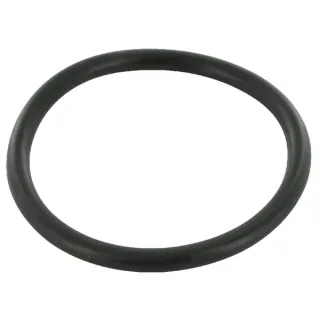 O-ring 3220176R1 Case IH