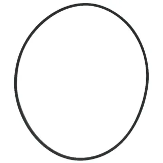 Hydraulic oil filter seal 405462R1 Case IH