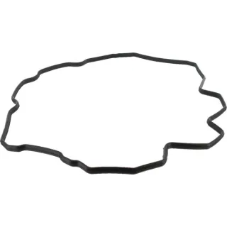 Cylinder head gasket 504070037 Case IH