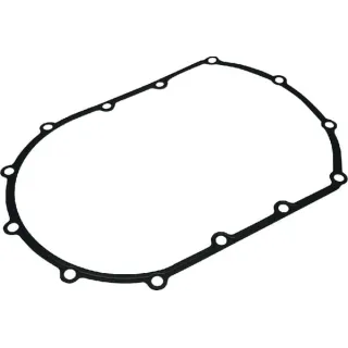 Seal 504290773 Case IH