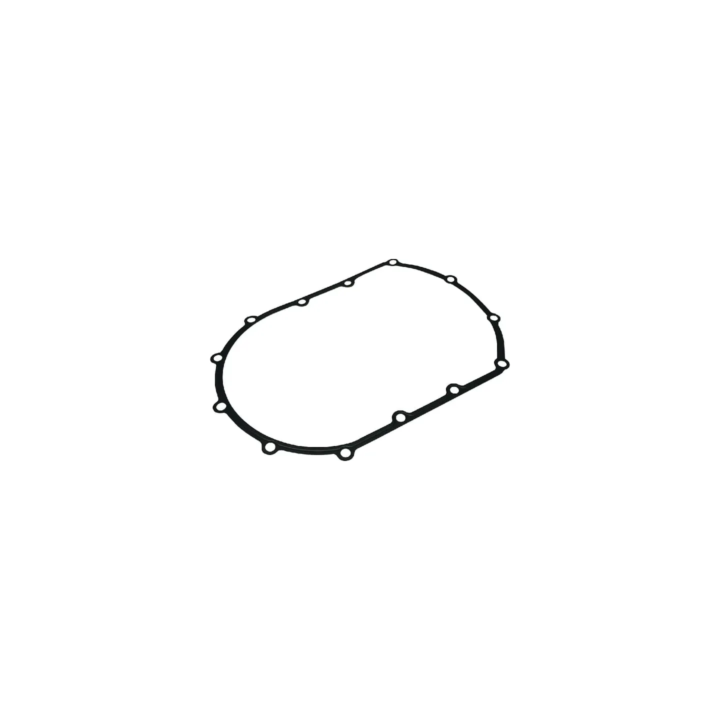 Seal 504290773 Case IH