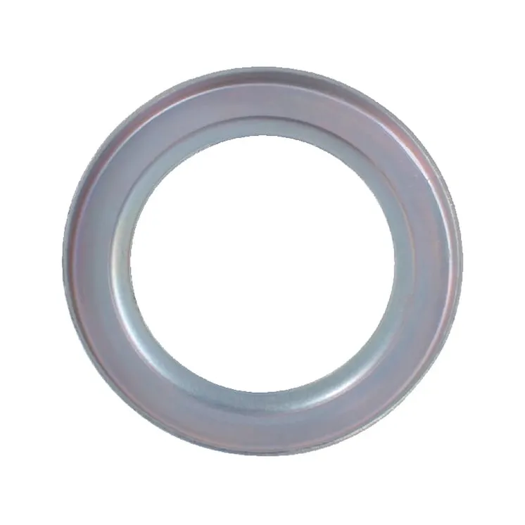 Seal protection 5109311 Case IH